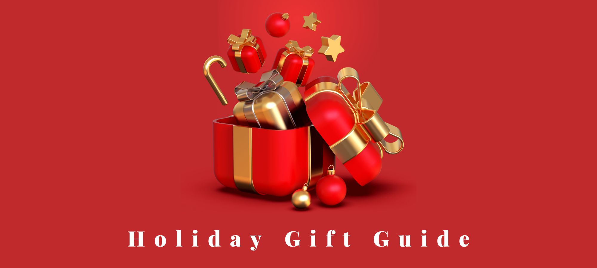 Holiday Gift Guide - Gifts under $30